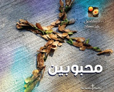 Andy Logos 2025 Andy Logos 2025