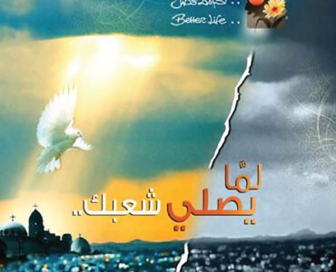 Andy Logos 2025 Andy Logos 2025