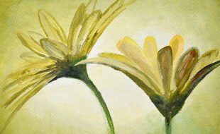 F-Generative Fill 115