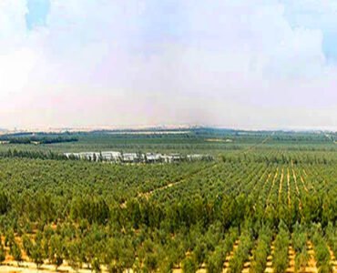 Generative Fill 192 Generative Fill 192