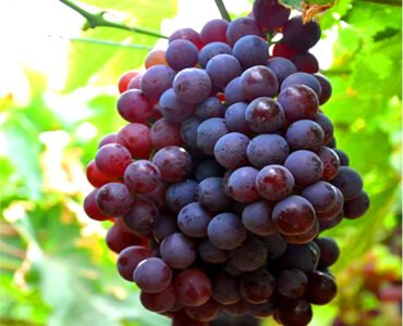 eeb2d8be08e73bf1708a0d3e3a4a38ac eeb2d8be08e73bf1708a0d3e3a4a38ac